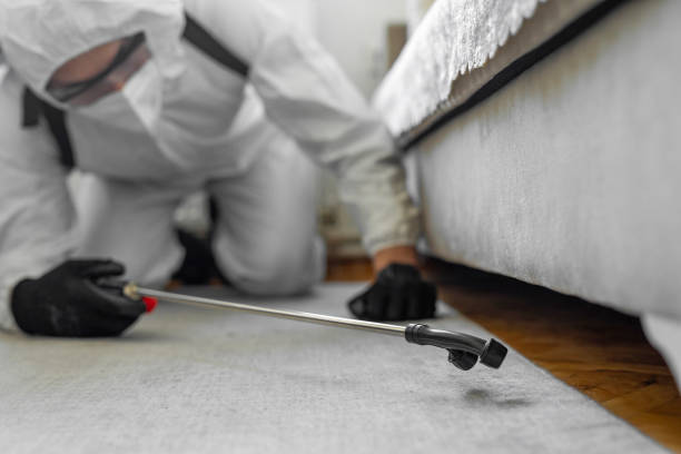 Professional Bed Bug Control technician working in McDonough County County, IL